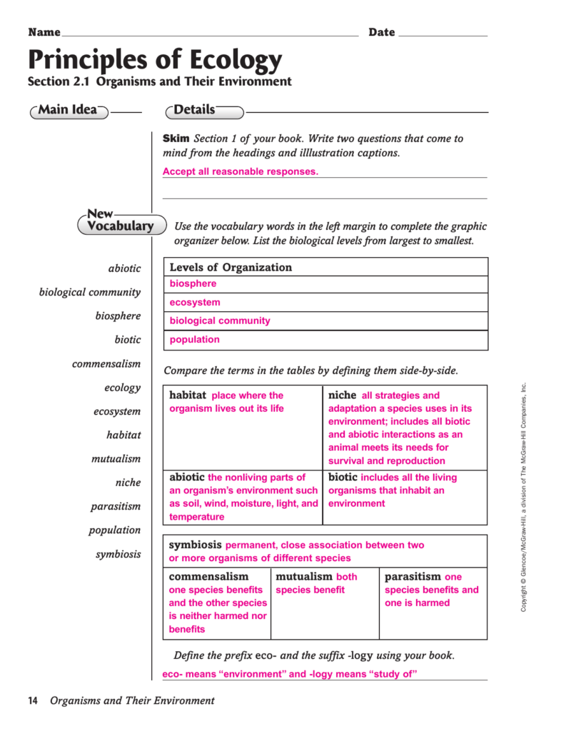 Beyond The Worksheet Answers Printable Worksheets And Activities For  - Beyond The Worksheet Summer Champs Answers