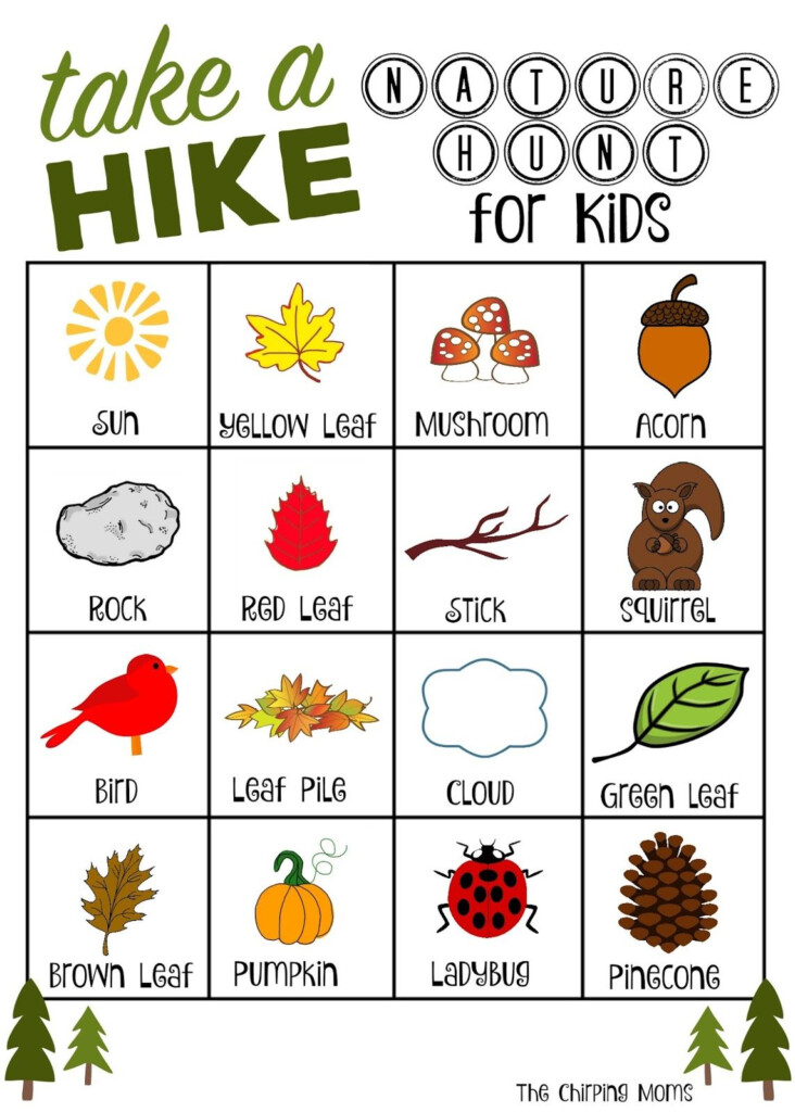 Free Printable Nature Walk Activity Sheet - Summer Nature Walk Worksheet