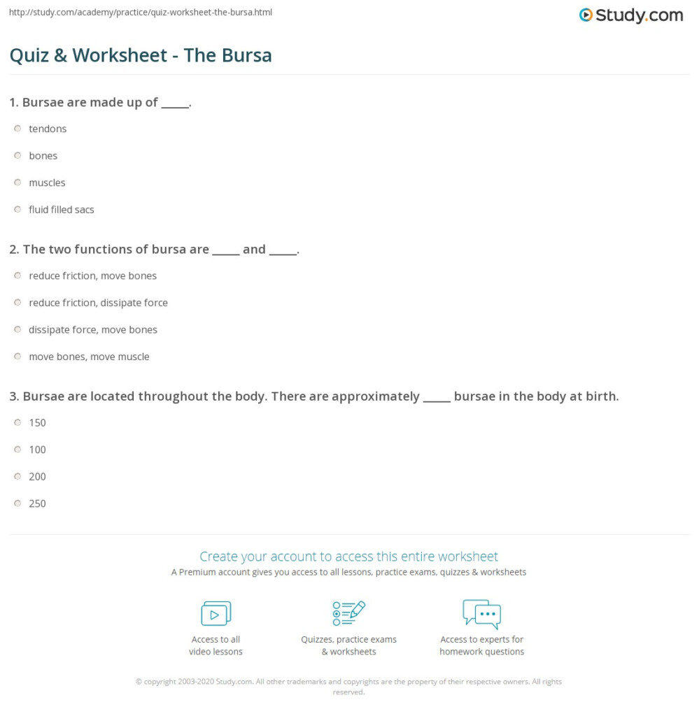 Quiz Worksheet The Bursa Study - Bursae Worksheet Lehigh Summer